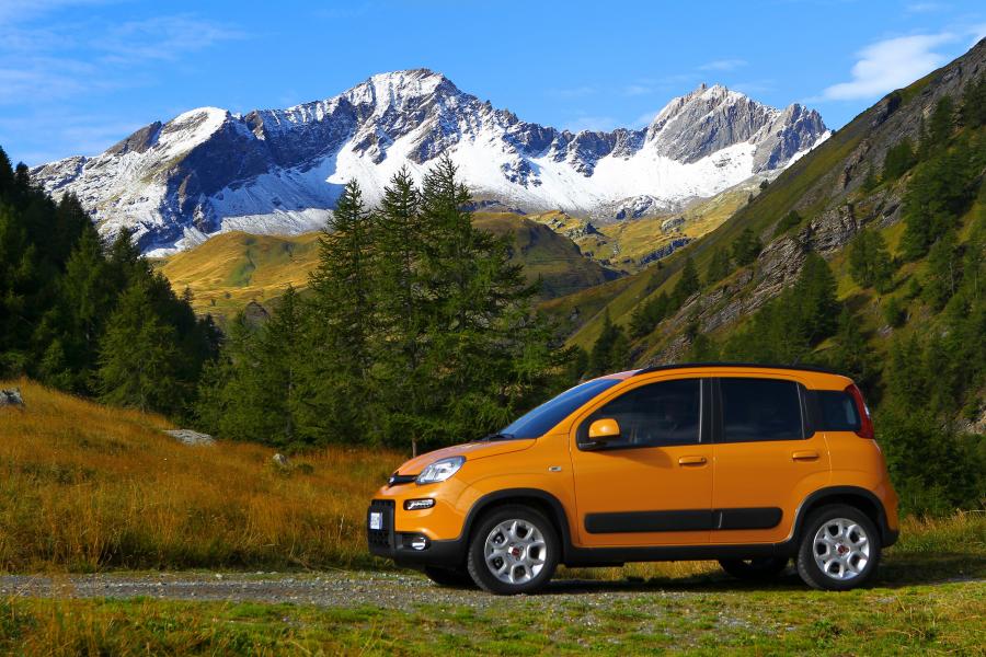  Fiat Panda Trekking 2012 года  (фото 29 из 50)